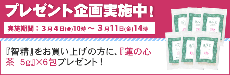 智精（ちせい） : トータルヘルスデザイン - 通販 - Yahoo!ショッピング