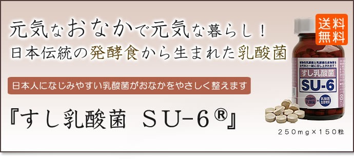 すし乳酸菌 SU-6 3本セット 150g すし乳酸菌 SU-6 3本セット 150g