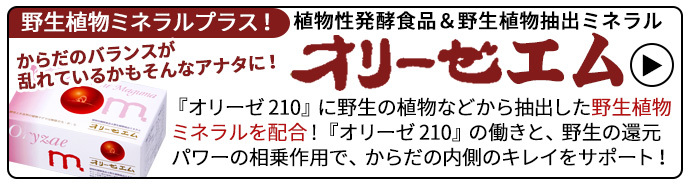 時間指定不可 オリーゼ水素400 60袋入り 旧商品名 オリーゼげんき 水素400 人気絶頂 Www Technet 21 Org