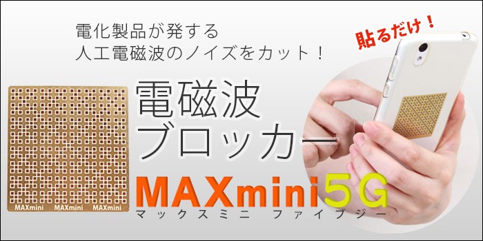 5Gへ