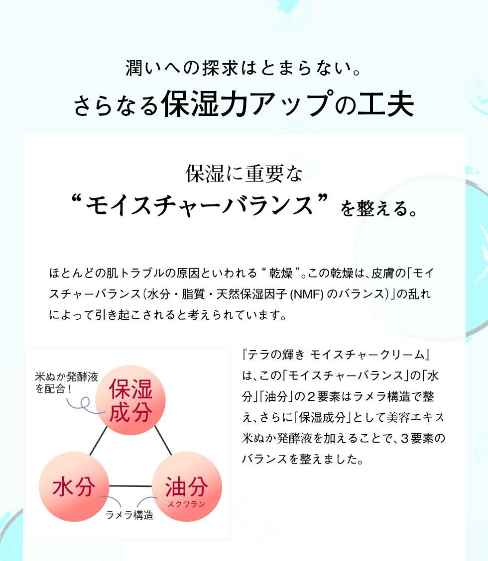 テラの輝き モイスチャークリーム 400g 詰替　２個セット 楽天市場】テラの輝き モイスチャークリーム 詰替パウチ 400g 2