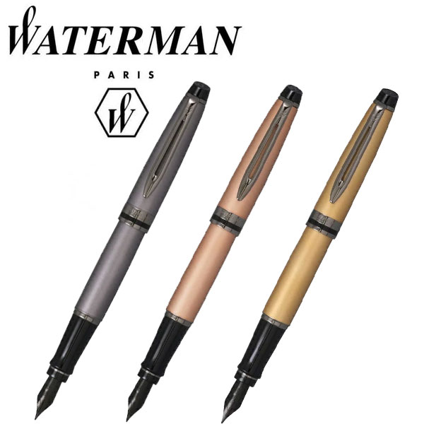 WATERMAN（ウォーターマン） エキスパートエッセンシャル 万年筆