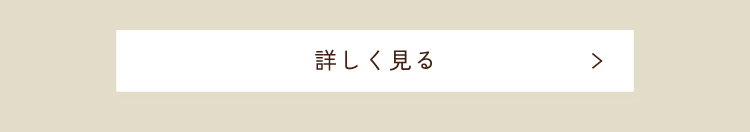 ボタン
