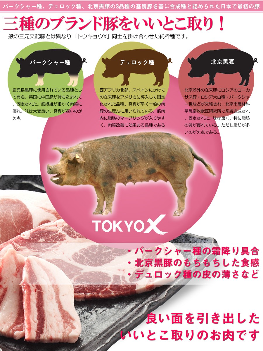 TOKYO X 送料無料 食べつくしセット 1.6kg 幻の豚肉 東京X TOKYO X 送料無料 食べつくしセット 1.6kg 幻の豚肉 東京X