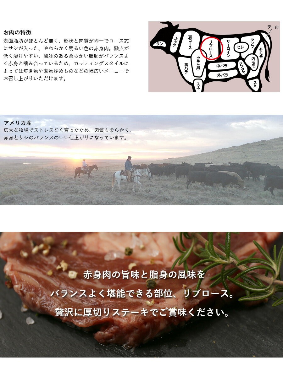 ステーキ肉 リブアイステーキ（200g×1枚） リブロースステーキ 牛肉 ギフト 仕送り 業務用 食品 おかず お弁当 冷凍 BBQ バーベキュー  食材 : 2018-0028 : ミート・コンパニオン - 通販 - Yahoo!ショッピング