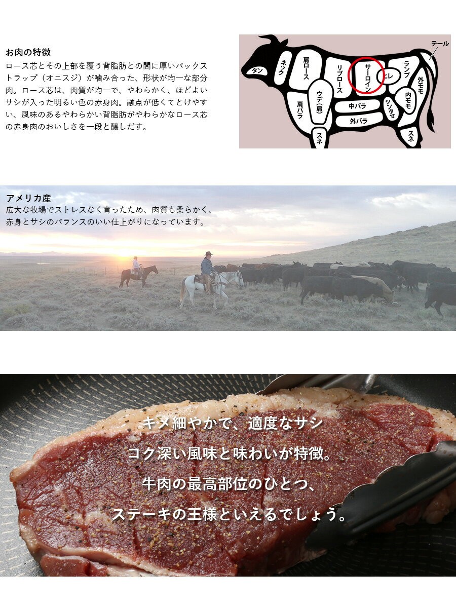 アメリカ産 熟成 サーロイン ステーキ 450g 20枚セット 熟成牛