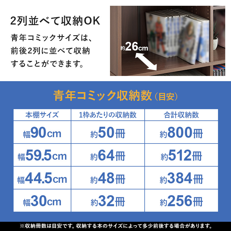HAGiHARA（萩原） （7月上旬入荷）奥行2列 収納可能 お部屋にあわせて