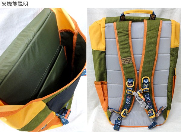 dakine ledge 25l