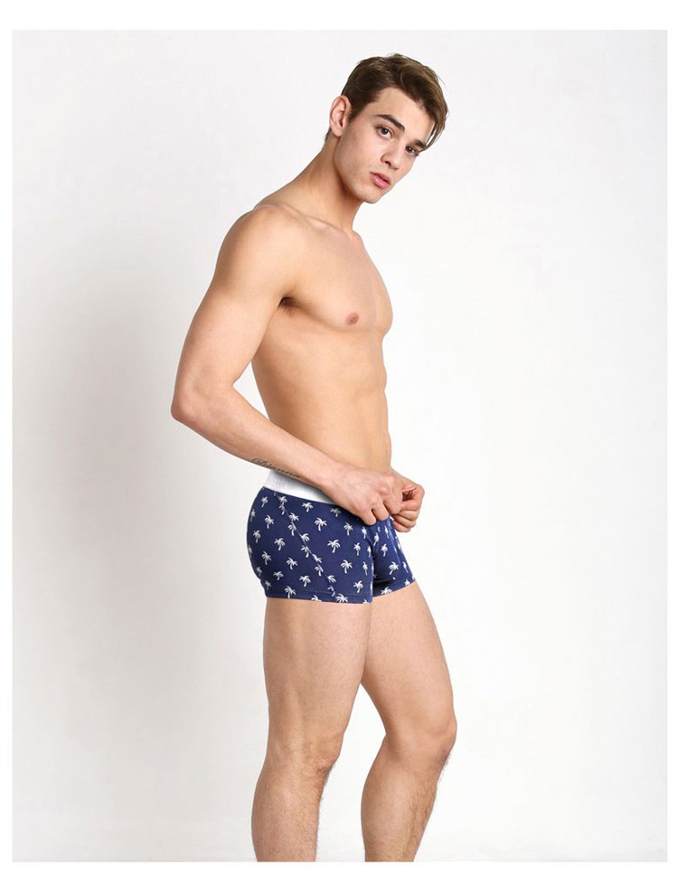 ボクサーパンツ