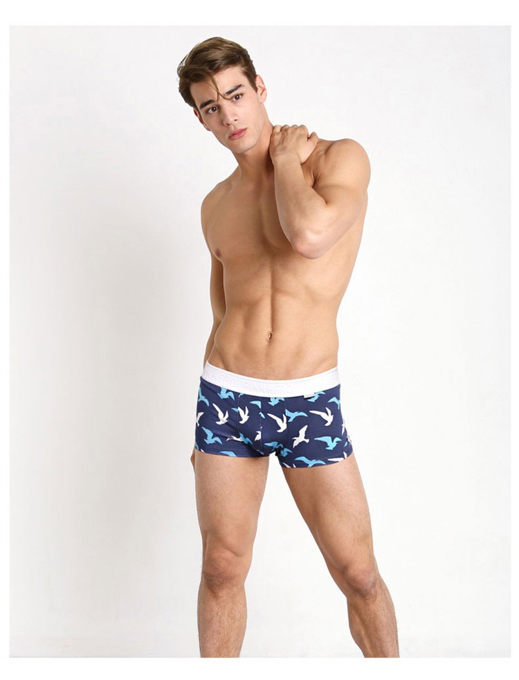 ボクサーパンツ