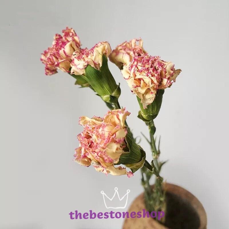 10本セット ドライフラワー 花材 ばら売り 大自然乾燥植物 ドライフラワー 干し花 乾燥 プレゼント ギフト 結婚式の装飾 花束飾り 枯れない花 置物 北欧｜thebestone｜06
