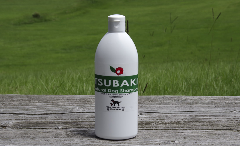 BLCつばきシャンプー/2000ml（お徳用）の説明 - 通販 - Yahoo