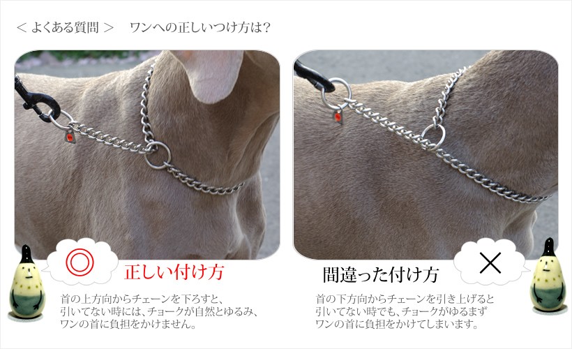 1.6mm/30cm＞ドッグショー用チョークチェーン : ブラックラブ