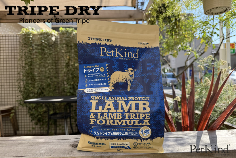 小粒 11.34kg＞グリーンラムトライプSAP/パピーにもおすすめ！の説明