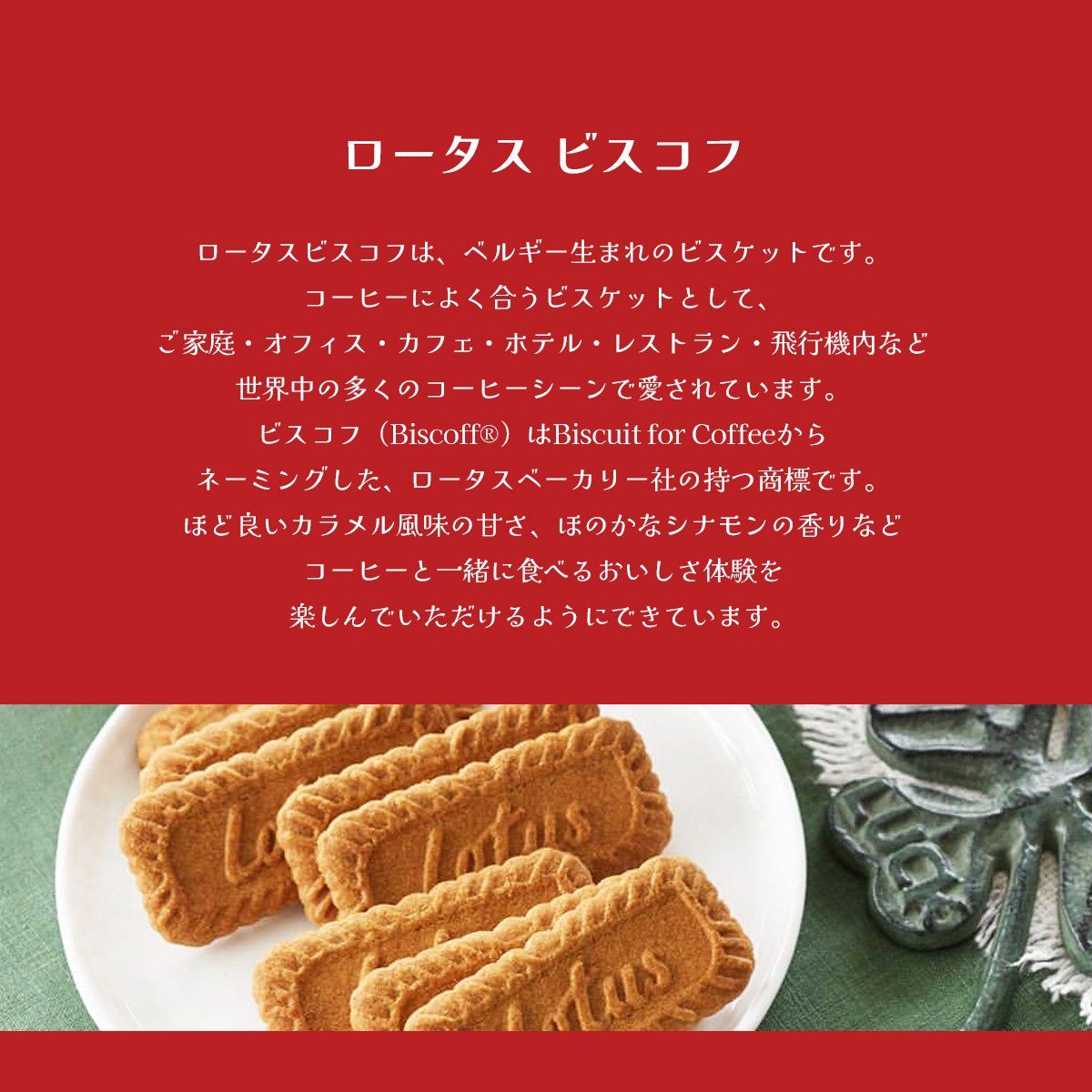 Lotus Biscoff（ロータス ビスコフ） 【1ケース】ロータス