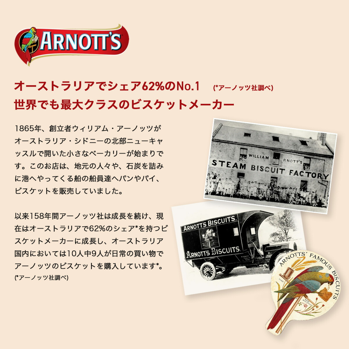 ティムタム紹介