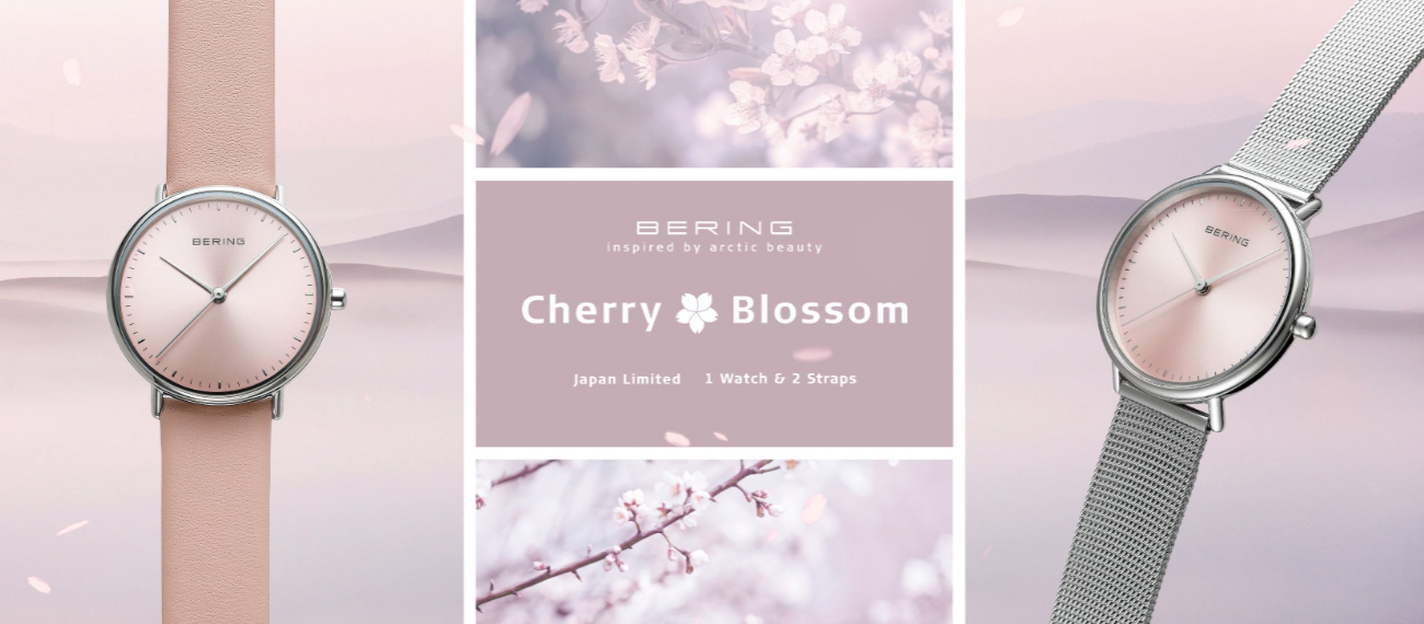 限定品！BERING ベーリング　Cherry Blossom BERING ベーリング 2023 チェリーブロッサム 日本限定モデル
