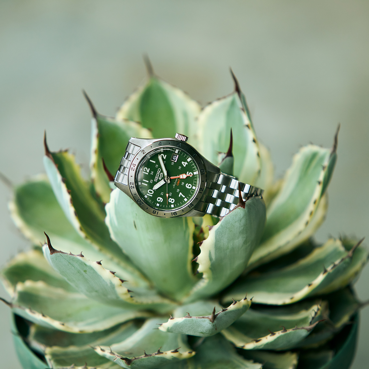 Seiko 5 Sports 8月7日発売/予約 セイコー 5スポーツ フィールド
