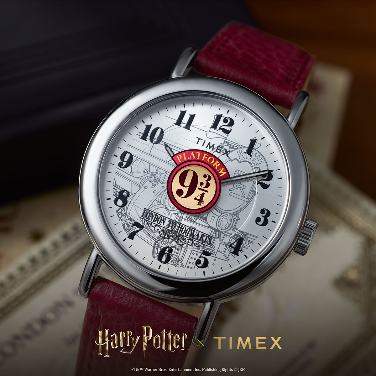 TIMEX（タイメックス） ハリー・ポッター コラボレーションモデル