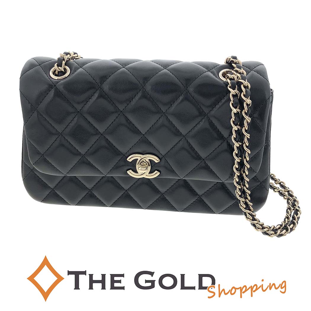 CHANEL Wフラップショルダーバッグ CHANEL シャネル Wフラップ ブランドオフ エキゾチックレザー