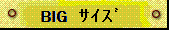 ビッグサイズ
