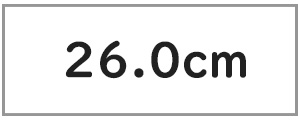 メンズ 26.0cm