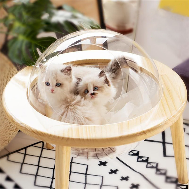 宇宙船猫ハウス ペット用 ベッド 透明宇宙船 猫ベッド 高質素材 安定