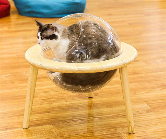 宇宙船猫ハウス ペット用 ベッド 透明宇宙船 猫ベッド 高質素材 安定