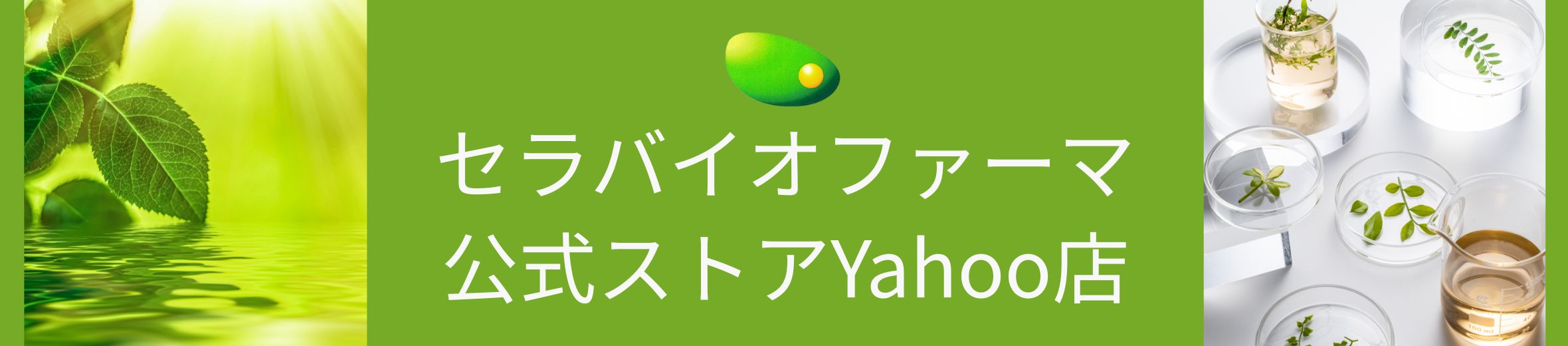 セラバイオファーマ ヘッダー画像