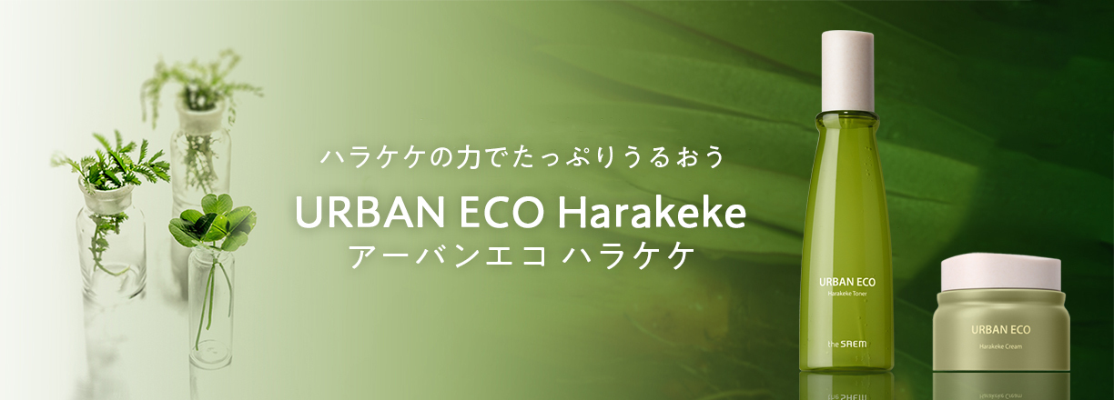 the SAEM 【大特価70％オフ】韓国コスメ ザセム ナチュラル