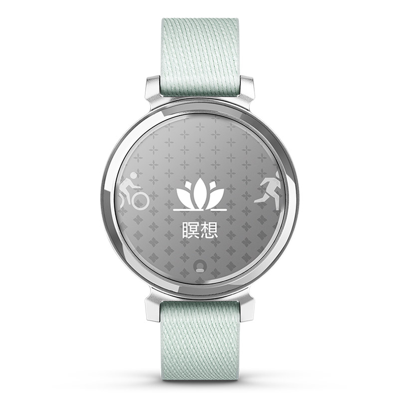 GARMIN（ガーミン） 無金利ローン可 リリー2 クラシック セージグレー