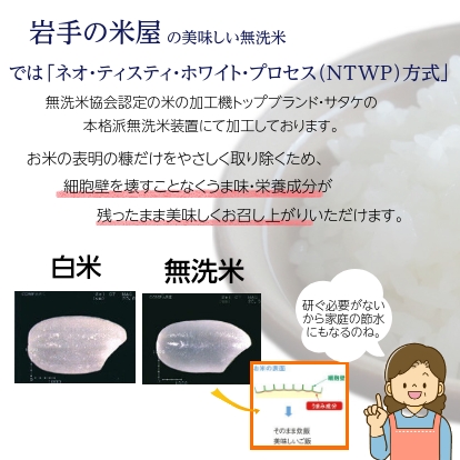 無洗米 10kg 米10kg お米 新 たべごろ無洗米 5kg×2袋 岩手の米屋