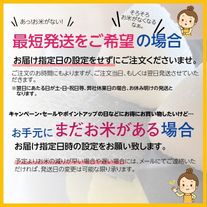 無洗米 10kg 米10kg お米 新 たべごろ無洗米 5kg×2袋 岩手の米屋