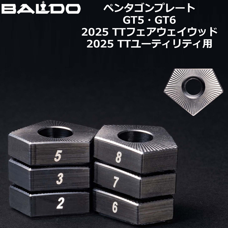 BALDO（バルド） チューニング用ウェイト ペンタゴンプレート GT5/GT6