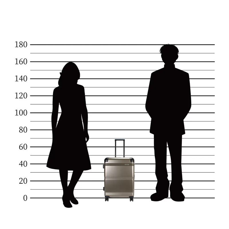 Ace（エース） スーツケース EXACT 38L〜46L 機内持込みサイズ TSA