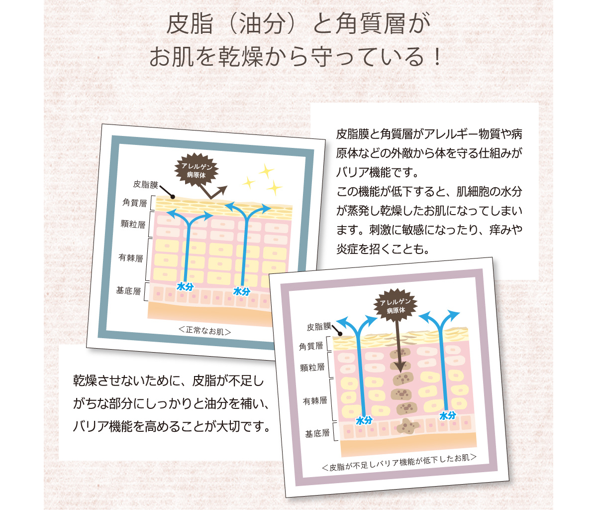 皮脂（油分）は大切