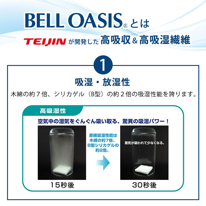 TEIJIN テイジン 除湿剤 ソフトパックドライ ミニ 12個セット