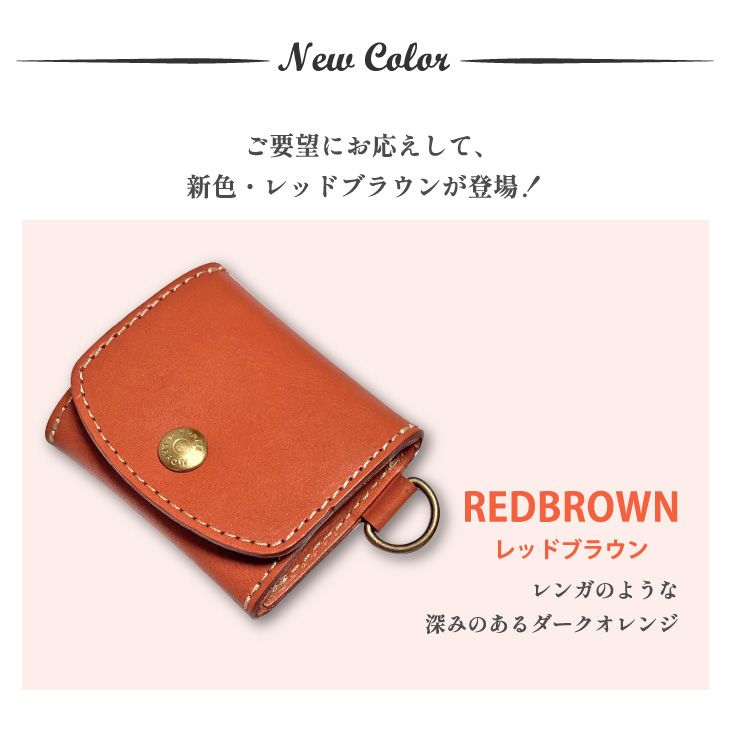 新カラー1