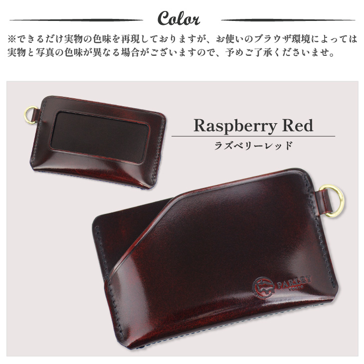 PARLEY（パーリィー） パスケース 定期入れ 3面 メンズ レディース 本