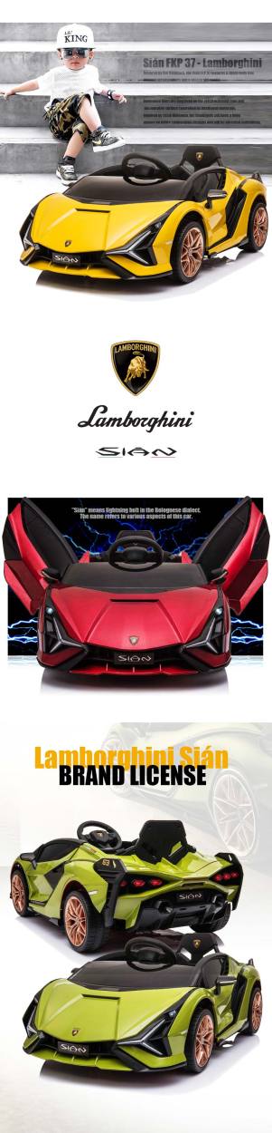 yuki 乗用ラジコンランボルギーニ Sian レッド ゴールドホイール