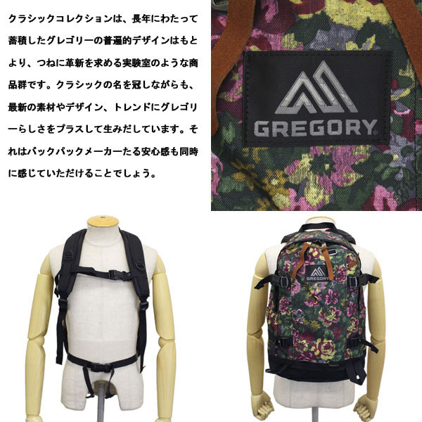 グレゴリー　Gregory リュック 楽天市場】☆10%OFFクーポン発行中！グレゴリー GREGORY
