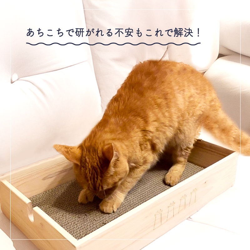 猫 爪とぎ ねこ ネコ 木製 ケース 爪研ぎ やすり 爪 つめ ダンボール ネコの爪とぎ