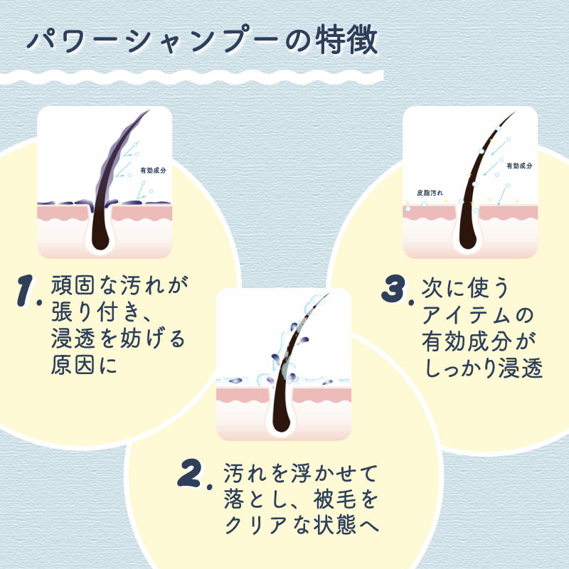 シャンプー お風呂 二次元 安い