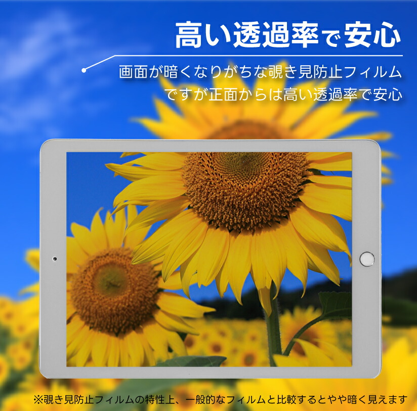 iPad mini 5 第5世代 2019 フィルム iPad mini 4 2015 第4世代 7.9インチ ガラスフィルム 覗き見防止 フィルム ガラス フィルム 覗きみ防止 覗き見防止 覗き込み のぞき見