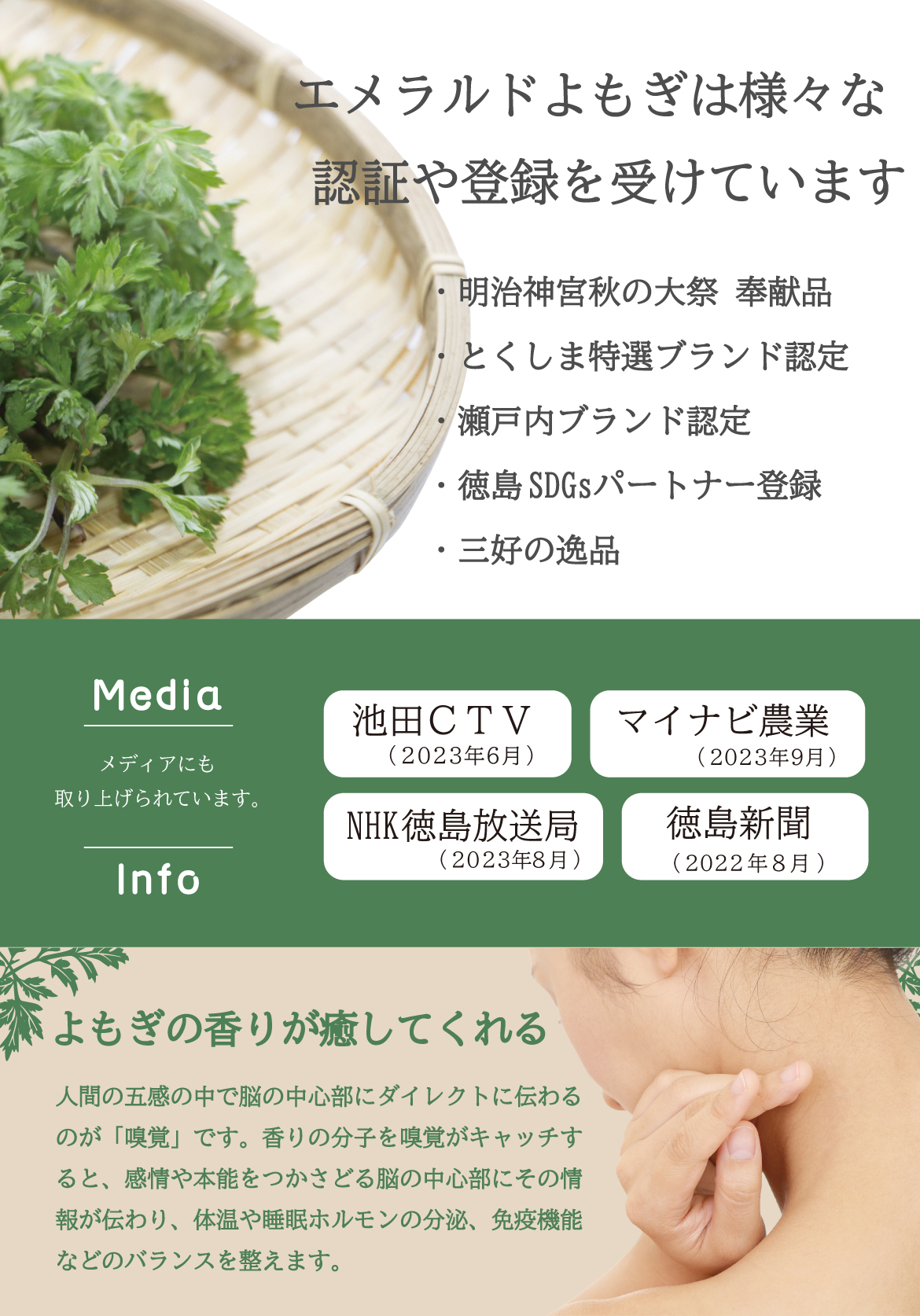 国産 乾燥よもぎ 1kg よもぎ蒸し よもぎ湯 よもぎ エメラルドよもぎ 徳島県産 無農薬 無添加 乾燥 ヨモギ よもぎのお風呂 よもぎ風呂 入浴剤  自宅 ヨモギ蒸し