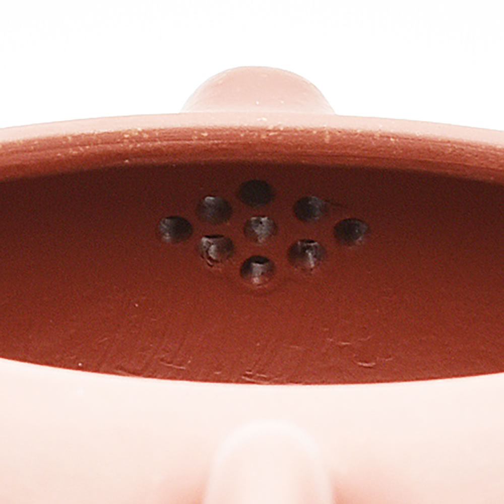 中国茶器・茶壺 扁西施（芦興龍・赤茶）180ml （宜興紫砂壺