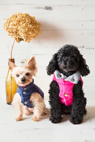 プエルト PUERTO コロナリバーシブルダウンベスト 4h【小型犬 犬服 ウエア アウター 上着 コート セレブ】_2