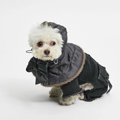 louisdog ルイスドッグのおすすめ人気商品一覧 通販 - Yahoo