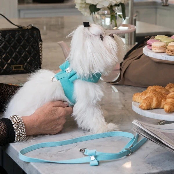 Susan Lanci DESIGNS Big Bow Tinkie Harness 受注生産【小型犬 犬用 ハーネス セレブ】 TC/Black_6