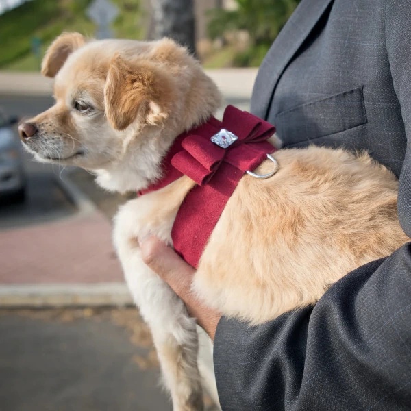 Susan Lanci DESIGNS Big Bow Tinkie Harness 受注生産【小型犬 犬用 ハーネス セレブ】 TC/Black_7